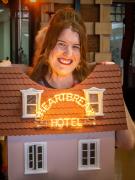 Heartbreak Hotel - Hemant Kogekar