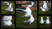 2 Love-story - ... ...