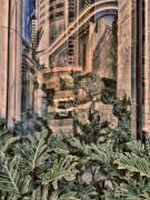 2 Rural Jungle - Carol Abbott