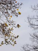 3 Reaching Out - Carol Abbott