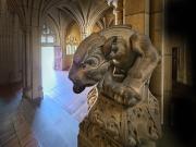 5 Gargoyle - Carol Abbott