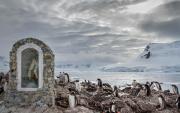 7 Continental Antartica - Gary Morony