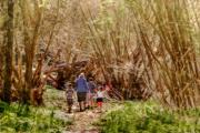 A-little-walk-with-Nanna - ... ...