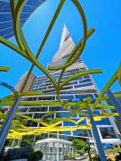 AMP - Judith Bennett