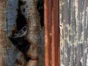 A Rusty  Combination - Margaret Frankish