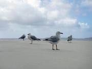 A Touch of Blue - Margaret Frankish