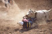 A rolling in the dirt-gigapixel-hq-scale-2 00x - ... ...