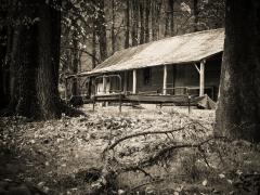 Abandoned Cabin - Judy Warburton