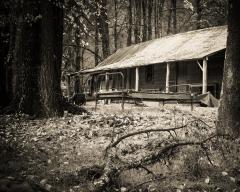 Abandoned Cabin - Judy Warburton