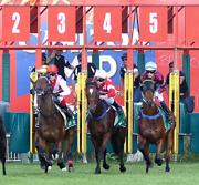 Wyong Races - Carol Abbott