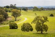 Across the Parkland - Nigel Streatfield