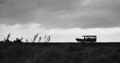 Across the Plain - Margaret Frankish