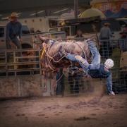 Action HKogekar Rodeo 2 - ... ...