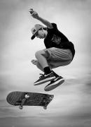Action MFrankish Flying High - ... ...