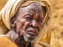 Aged Wisdom - Leigh Hall