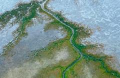 Alaska Aerial - Kerry Boytell