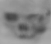 Alien Imprint - Fran Brew