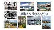 Alison Seccombe - Jan Glover