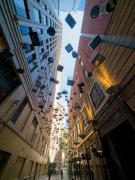 Angel Place Birdcages PB184636 DxO - Christo van Rensburg