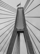 Anzac Bridge - Donald Gould