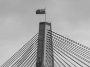 Anzac Bridge - Donald Gould
