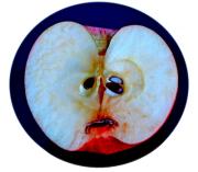 Apple 1G - ... ...