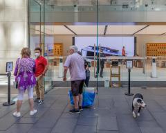 Apple Store - Howard Morris