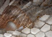 Armadillo-Land - ... ...