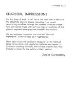 Artist Statement - Janice Gursanscky