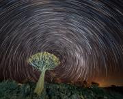 Astro HKogekar Quiver tree - ... ...
