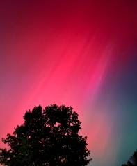 Aurora Borealis - David Ross
