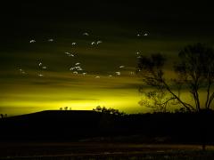 Aurora over the lake - Heather Miles