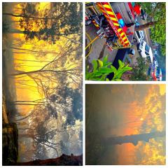 Aussie Summer - Bruce Wilson