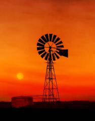 Aussie Windmill  - Peter Steele
