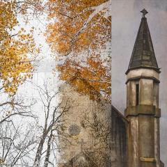 Autumn-composite - Janice Gursanscky