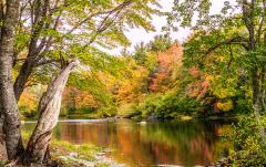 Autumn - Leigh Hall