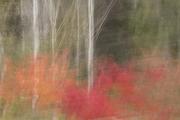 Autumn Palette - ... ...