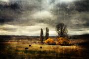 Autumn on the Monaro JGlover - ... ...