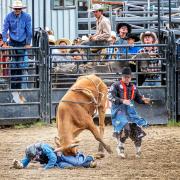 BF01 - Judith Bennett