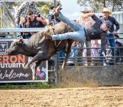 BF11 - Judith Bennett