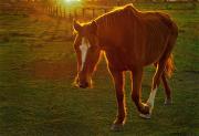 Back lit-gigapixel-hq-scale-2 00x - ... ...