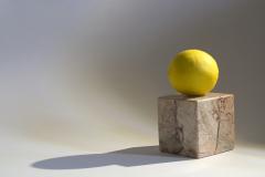 Balanced lemon - Maureen Rogers