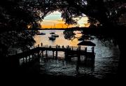 Banjo Patterson Park Gladesville Michael Haylen1 - ... ...