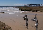 Beach Photographers - Leigh Hall