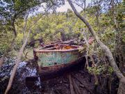 Beached - Judith Bennett