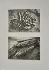 Beans and Corn - Beryl Jenkins