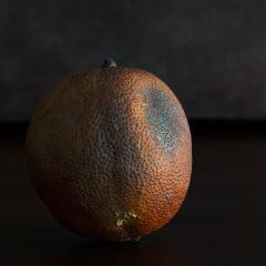 Beauty in Ageing - Fran Brew