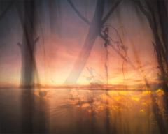 Beyond - Janice Gursanscky