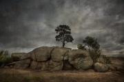 Big-Rock - ... ...