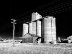 Billimari Silos - Steve Mullarkey